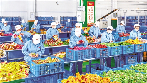 廣西促進農產品加工業加速集聚發展 從“田間地頭”到“食品車間”的產業躍遷